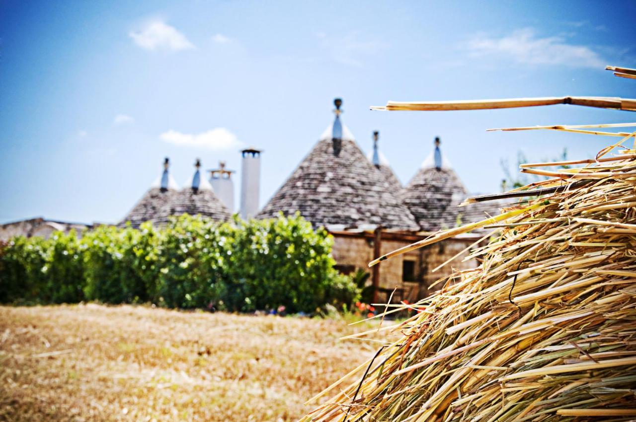 Trulli Il Castagno Guest House Martina Franca Bagian luar foto