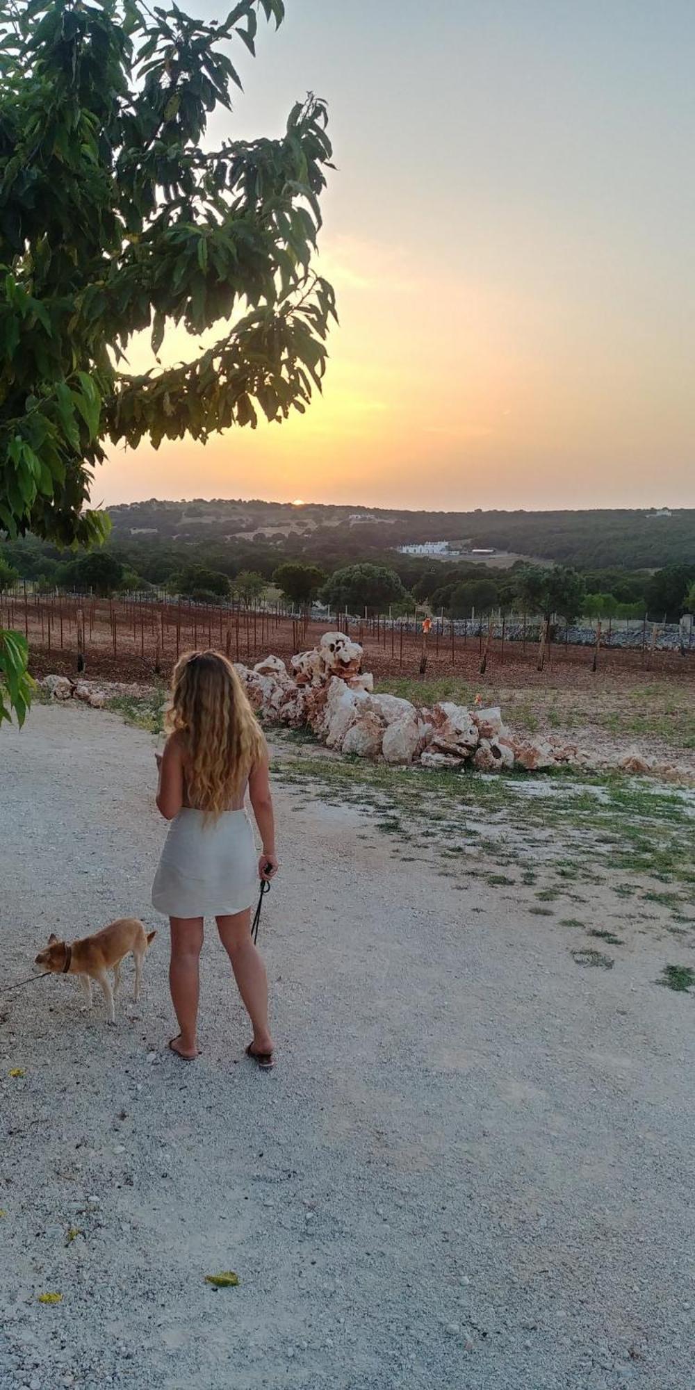 Trulli Il Castagno Guest House Martina Franca Bagian luar foto