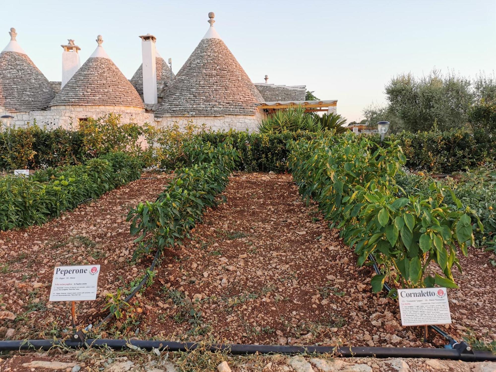 Trulli Il Castagno Guest House Martina Franca Bagian luar foto