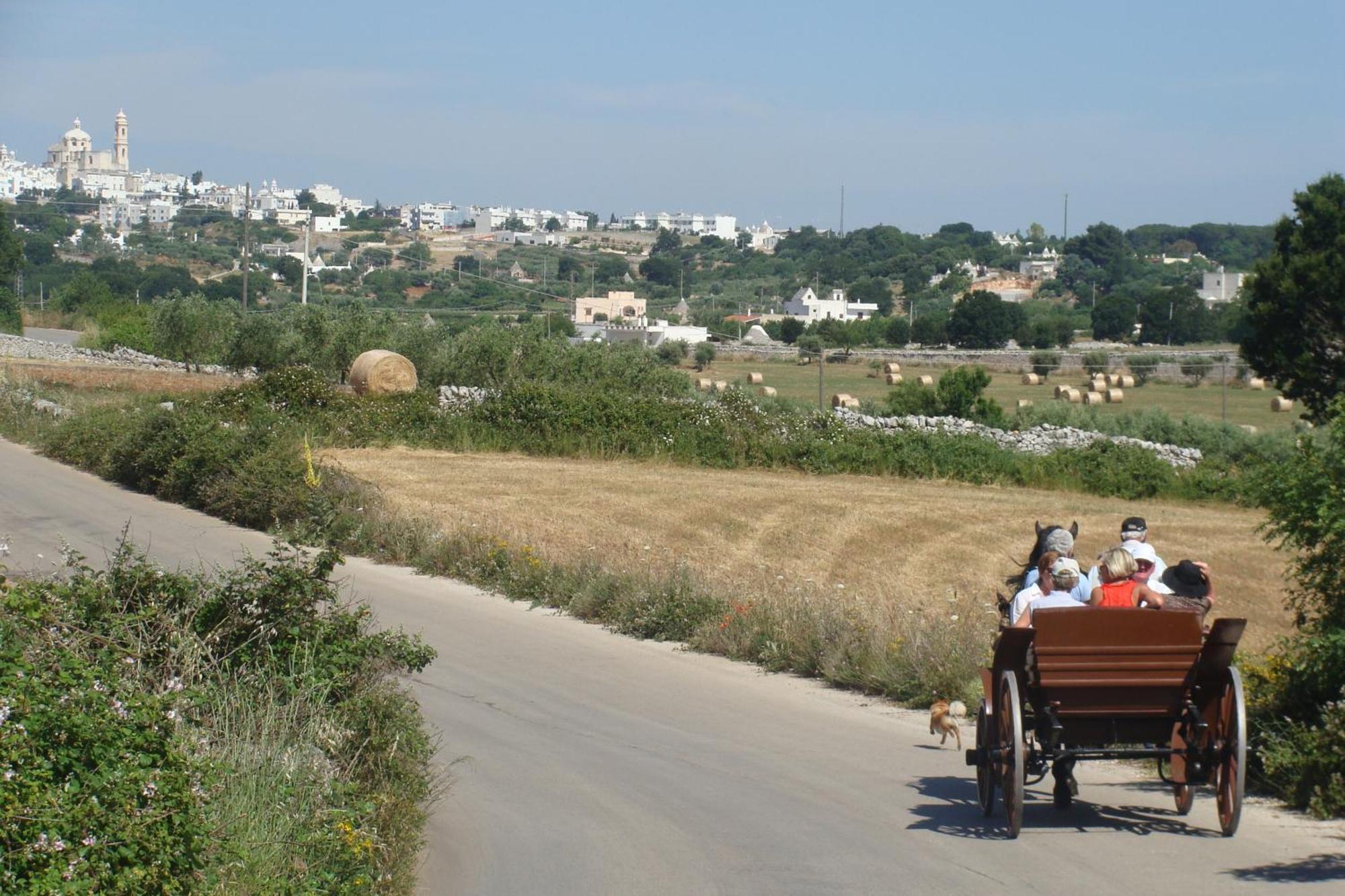 Trulli Il Castagno Guest House Martina Franca Bagian luar foto