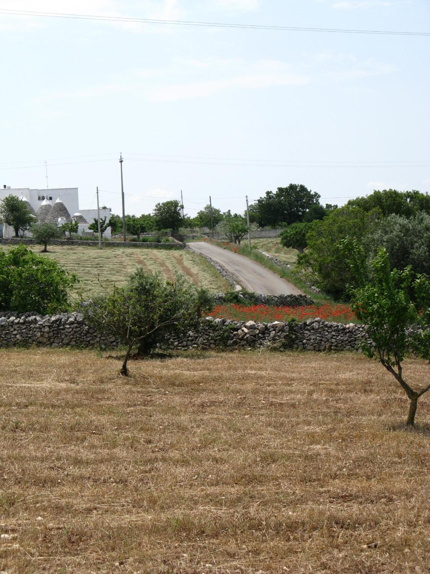 Trulli Il Castagno Guest House Martina Franca Bagian luar foto